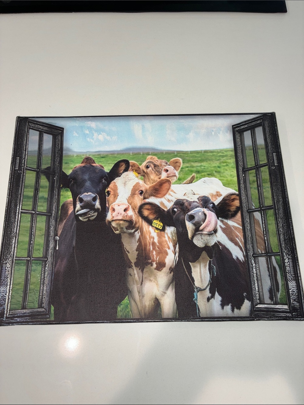 Cows (EUC) Source Unknown Canvas Wall Art - Green, Brown, Black & White Colors.